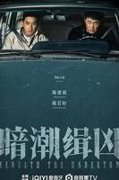 电视剧《暗潮缉凶》1-40集全集免费在线观看高清完整版