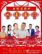 《双喜盈门》电视剧全集免费在线观看高清完整版